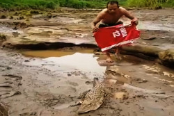 Viral! Buaya 1,5 Meter Muncul di Kali Oya Gunungkidul