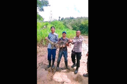 Buaya Kali Oya Tertangkap, Ternyata Asalnya dari Penangkaran di Hutan Bunder