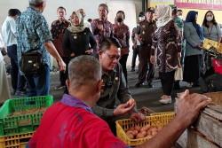 Jelang Lebaran Permintaan Telur di Sleman Justru Menurun, Ini Penyebabnya