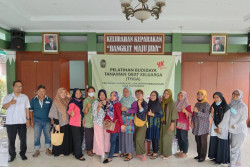 Keparakan Kembangkan Tanaman Obat di Lahan Perkotaan