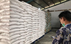 Pemerintah Sudah Salurkan 151.925 Ton Beras kepada Keluarga Penerima Manfaat