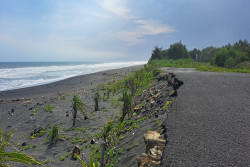 Jalan Penghubung Pantai Glagah dengan Congot Rusak Terkena Abrasi