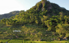 Pemkab Kulonprogo Mulai Kembangkan Desa Wisata
