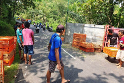 Nahas! Tertimpa Boks Ayam dari Truk yang Terguling, Pejalan Kaki Meninggal Dunia