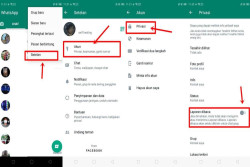 Mudah! Begini Cara Mematikan Centang Biru di Whatsapp