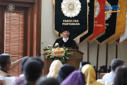 Guru Besar UGM: Ikan Wader Rentan Punah Jika...
