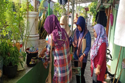 Warga Ngupasan Kelola Sampah Organik Pakai Ember Tumpuk