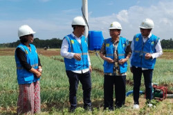 Komitmen Jalankan ESG, Electrifying Agriculture PLN Mampu Beri Petani Efisiensi Hingga 90%