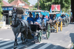 PAN DIY Daftarkan 55 Bacaleg ke KPU