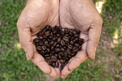 Ampas Kopi Jangan Dibuang, Bisa Diolah Menjadi Produk UMKM
