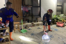 Ular Kobra Sepanjang 1 Meter Masuk ke Rumah Warga di Bantul