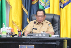 Mendagri Minta Kepala Daerah Waspadai Lonjakan Harga Pangan