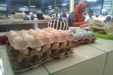 Harga Telur Melejit, BI DIY Sebut karena Harga Pakan