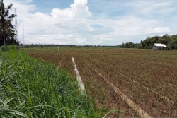 Antisipasi Kekeringan di Musim Kemarau 2023, Bantul Menyiapkan Pompa Air di Lahan Pertanian