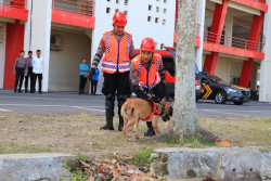 Polisi Calon Pawang Satwa Ikuti Uji Kompetensi