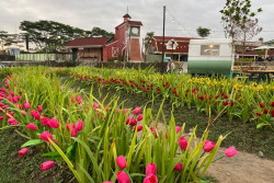 Pengin Nikmati Air Terjun Swiss dan Kebun Tulip ala Belanda, Objek Wisata Ini Cocok untuk Anda
