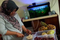 Kelurahan Bumijo, Tingkatkan Pendapatan Masyarakat lewat Enzim Buah