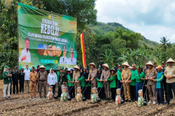 Pemkab Gunungkidul Terima Tantangan Mentan Perluas Area Tanam Kedelai