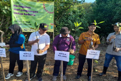 Kementerian LHK Bersih-bersih Sampah di Pantai Baros