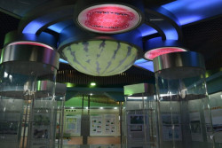 Satu-satunya di Dunia, Negara Ini Punya Museum Khusus Semangka