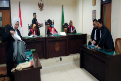 Palsukan Sertifikat Kucing Ras, Warga Bandung Diseret ke Meja Hijau