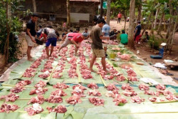 Lebih Awal, Jemaah Aolia Gunungkidul Sudah Sembelih Hewan Kurban Senin
