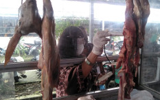 Resep Tongseng Kambing Santan, Wajib Coba!