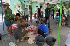 Sebagian Umat Islam Merayakan Iduladha Hari Ini, Berikut Tata Cara Penyembelihan Hewan Kurban