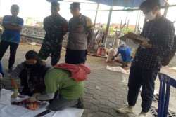 Penyembelihan Hewan Kurban di Jogja, Ini Rincian Jumlahnya dari Sapi hingga Kambing
