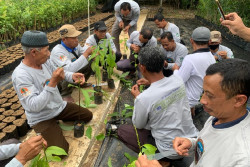 Rehabilitasi DAS Kawasan Wisata DSP, Puluhan Petani Menoreh Dilatih Pembenihan Alpukat