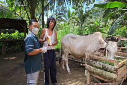 Pemkab Kulonprogo Antisipasi Potensi Penyebaran Antraks dari Gunungkidul