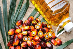 Tersangka Korporasi Kasus Minyak Goreng, Kejagung Geledah 3 Kantor di Medan