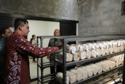 Fakultas Kehutanan UGM Luncurkan Unit Penelitian dan Pengembangan Jamur Konsumsi