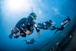 Tips Aman Olahraga Ekstrem Cave Diving