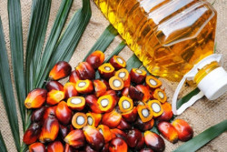 Penyitaan Aset Korporasi Minyak Goreng, Kejagung Didesak untuk Lebih Transparan