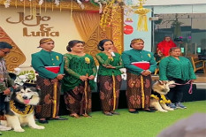 Viral Weeding Anjing Jojo dan Luna Gunakan Adat Jawa, Ini Tanggapan Disbud DIY