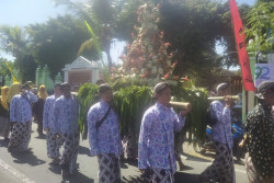 Masyarakat Sitimulyo Bantul Gelar Kirab Budya, Ratusan Ingkung Diperebutkan