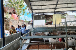 Sasaran Baru Tercapai 71%, BPS Gunungkidul Yakin Sensus Pertanian Selesai Tepat Waktu