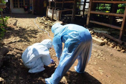 Satu Lagi Warga Semanu Gunungkidul Positif Penyakit Antraks