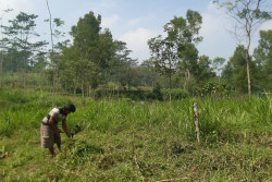 Begini Penampakan Area Pembuangan Sampah selama TPA Piyungan Ditutup, Warga Waswas Pencemaran