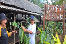 Sensasi di Kopi Puncak Menoreh, Warung Kopi Favoritnya Warga Kota Jogja