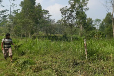Area Pembuangan Sementara Sampah di Cangkringan Termasuk Resapan Air, Begini Respons Kalurahan