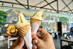 Apa Rasanya saat Es Krim Bertemu Steak? Waroeng Steak & Shake Punya Jawabannya