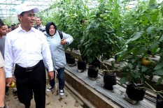 Prabowo Panggil Mantan Menteri Pertanian, Berhubungan dengan Pemilu?