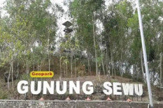 Geopark Gunung Sewu Sudah Direvalidasi, Pemkab Gunungkidul Optimistis Bisa Dipertahankan