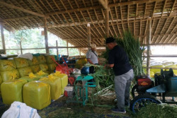 Bank Pakan Dukung Peternakan Gunungkidul