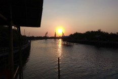 Mangrove Ditanam untuk Pengembangan Ekowisata di Kulonprogo