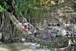 Selain Jembatan Akar Seyegan, Ini 2 Jembatan Akar Lainnya di Indonesia