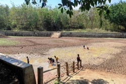 Tepus Jadi Wilayah Paling Parah Terdampak Kekeringan di Gunungkidul