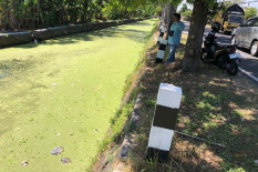 Viral Sungai Winogo Kecil di Jalan Samas Menghijau, Ini Tanggapan DLH Bantul
